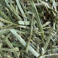 Sieczka z lucerny (NOWA 16%)